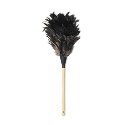 Feather Dusters